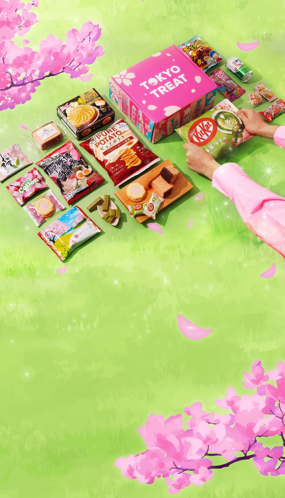 TokyoTreat box sits against a bright green grass background, surrounded by box items and cherry blossoms.