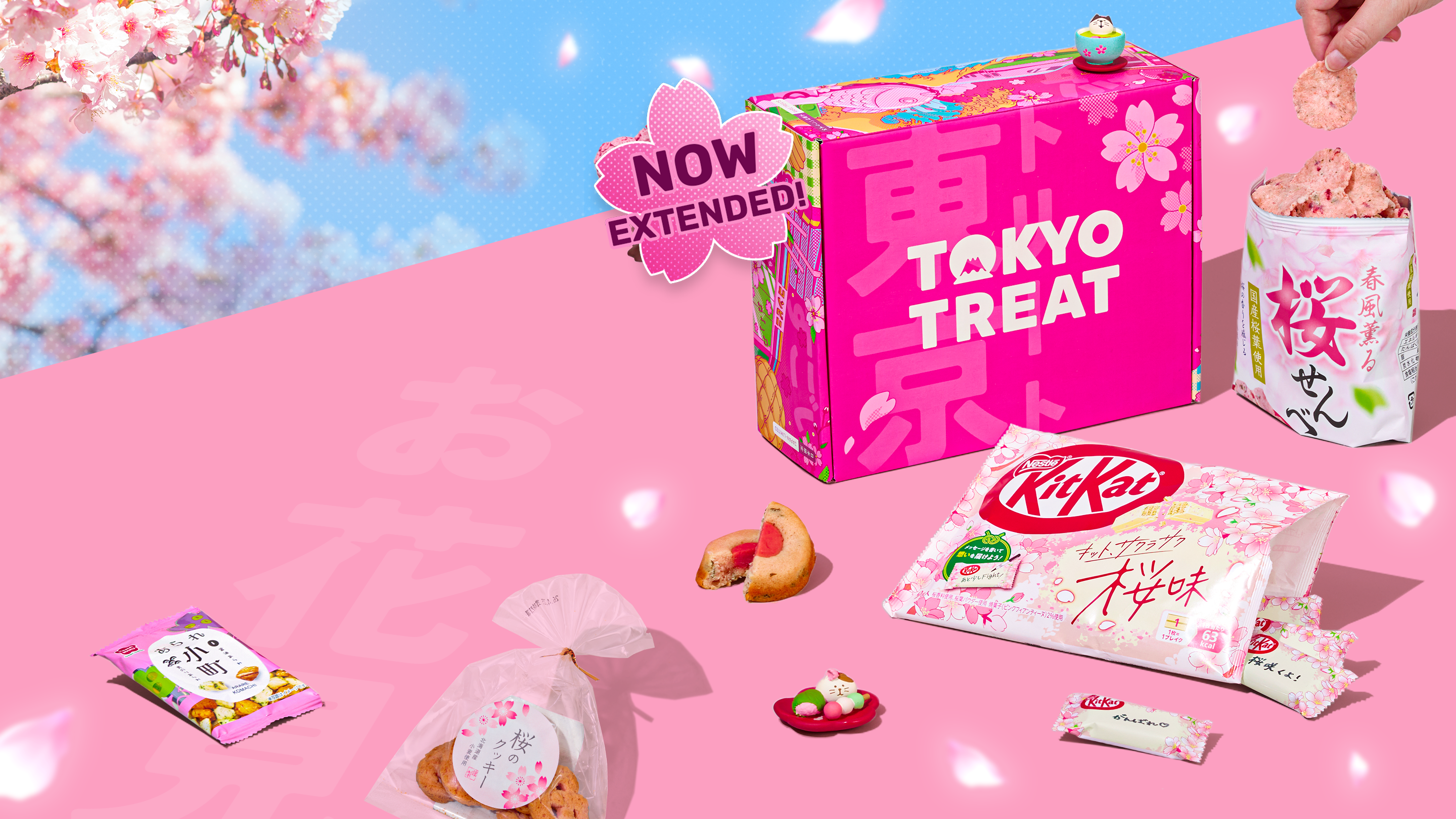 Pink TokyoTreat box with sakura-themed snacks on pink background with cherry blossoms in the back