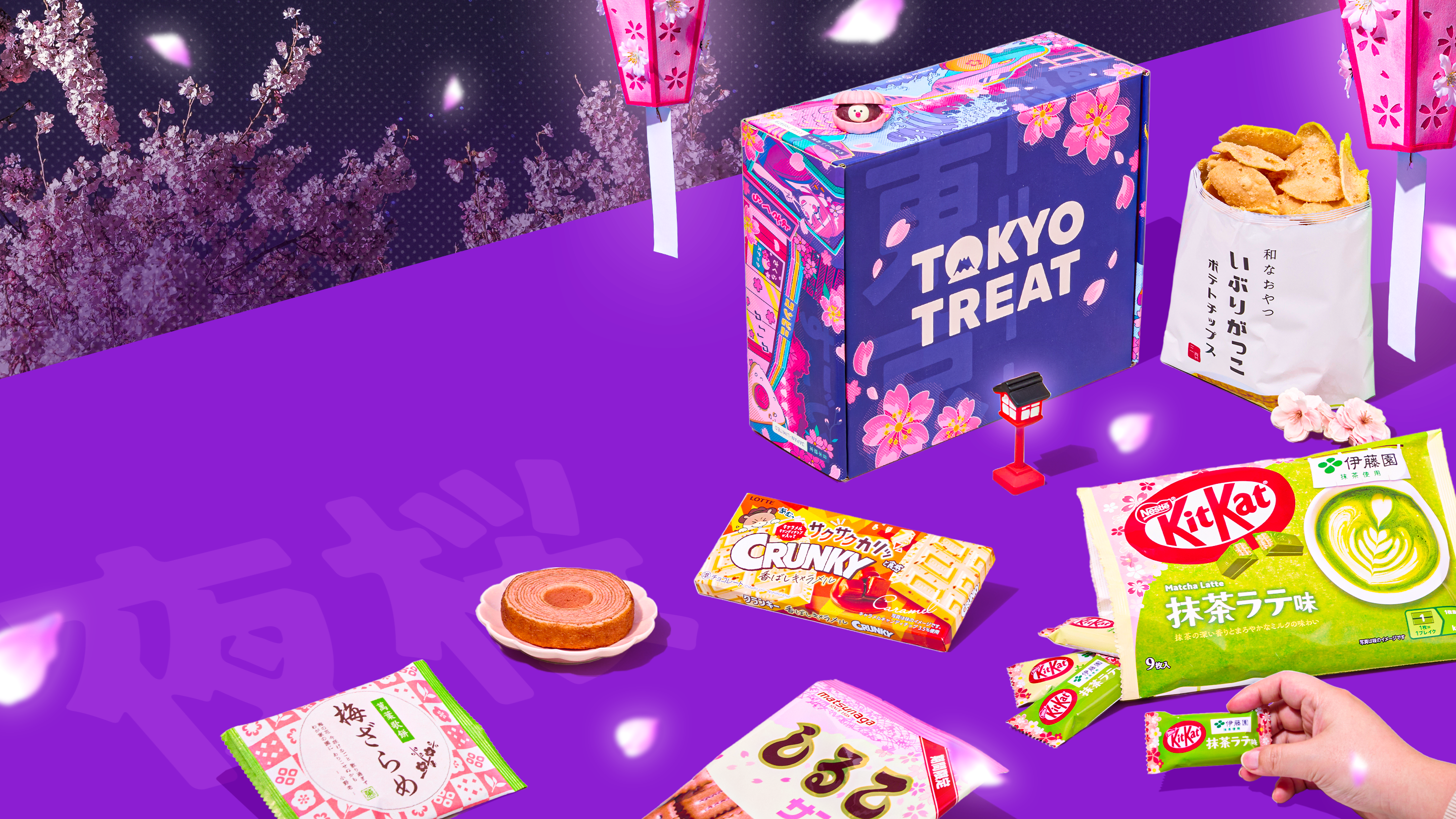 Purple TokyoTreat box with sakura snacks around it with nighttime cherry blossoms in the back 