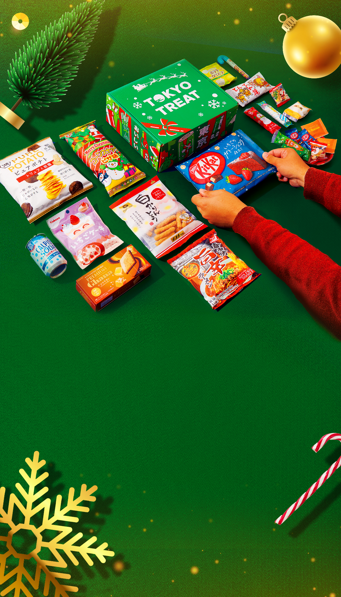 TokyoTreat box sits against a dark green background surrounded by Christmas motifs.