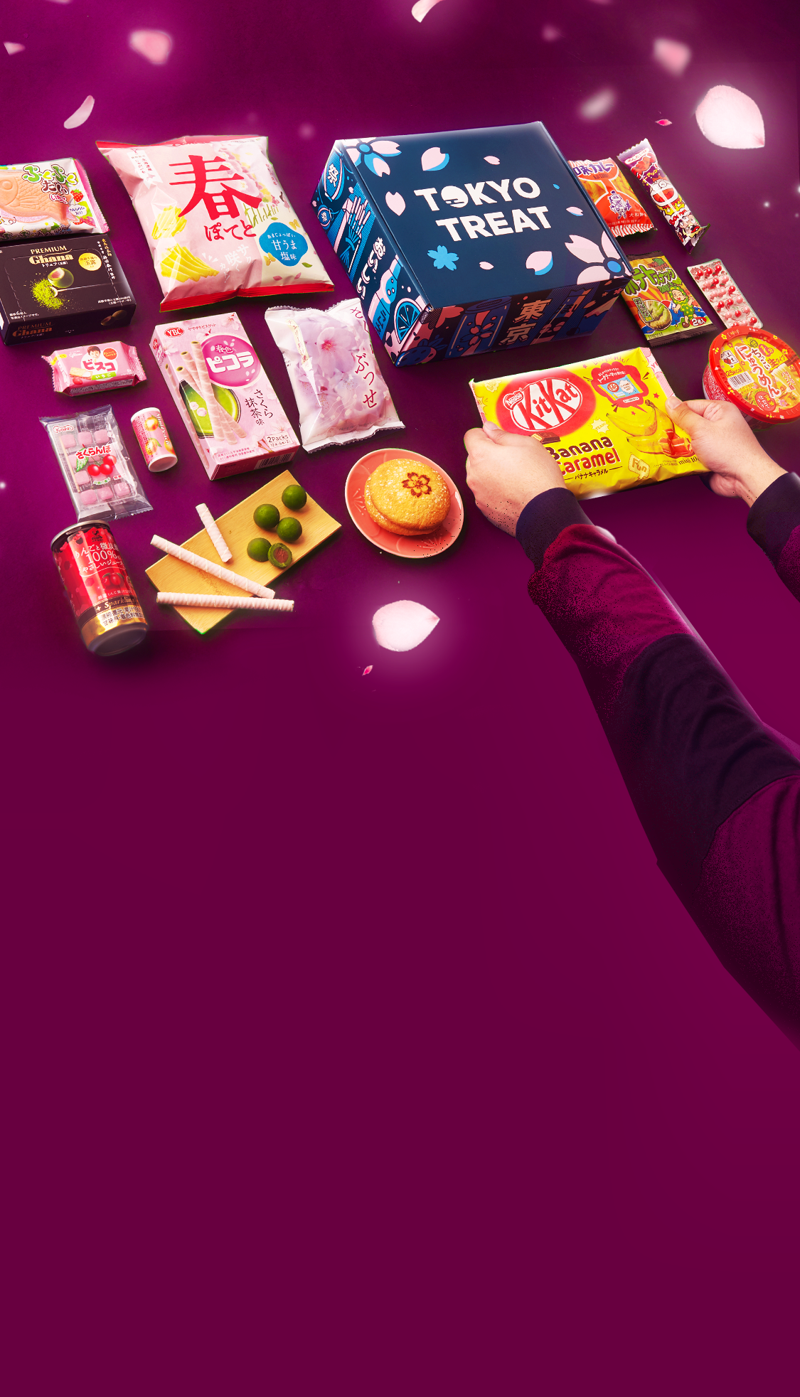 TokyoTreat box sits against a dark purple backdrop, surrounded by box items and cherry blossom petals.