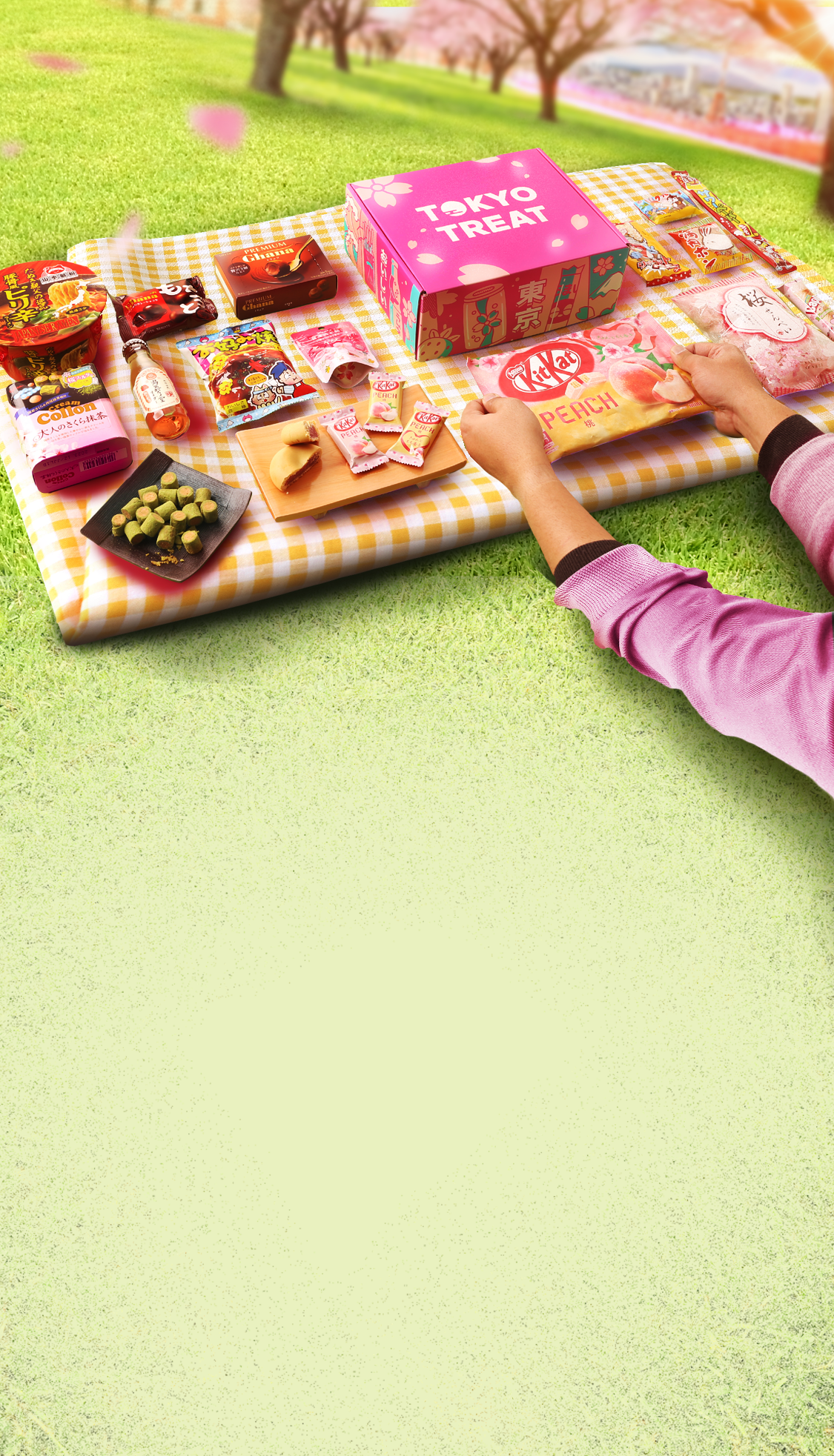 TokyoTreat box sits atop a picnic blanket at a grassy Tokyo park, surrounded by box items and cherry blossom petals.
