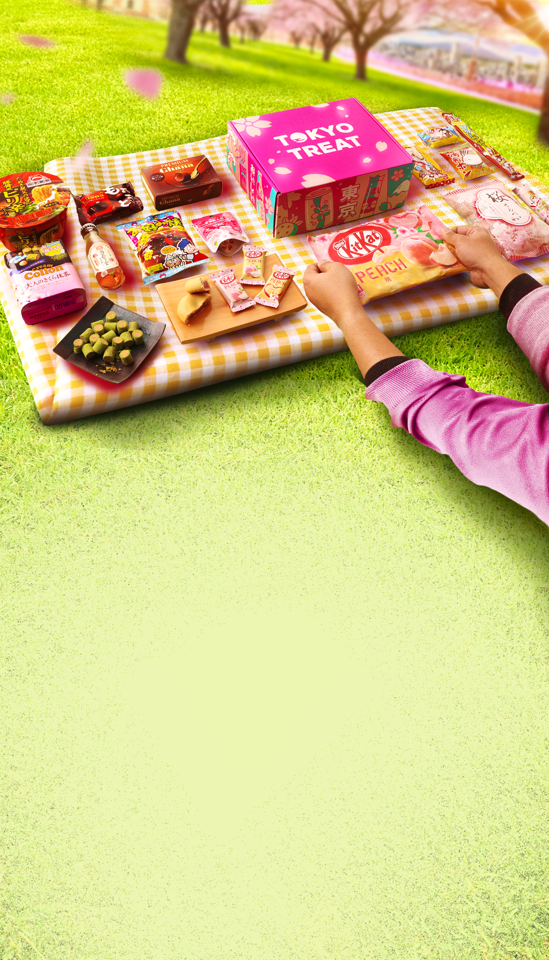 TokyoTreat box sits atop a picnic blanket at a grassy Tokyo park, surrounded by box items and cherry blossom petals.