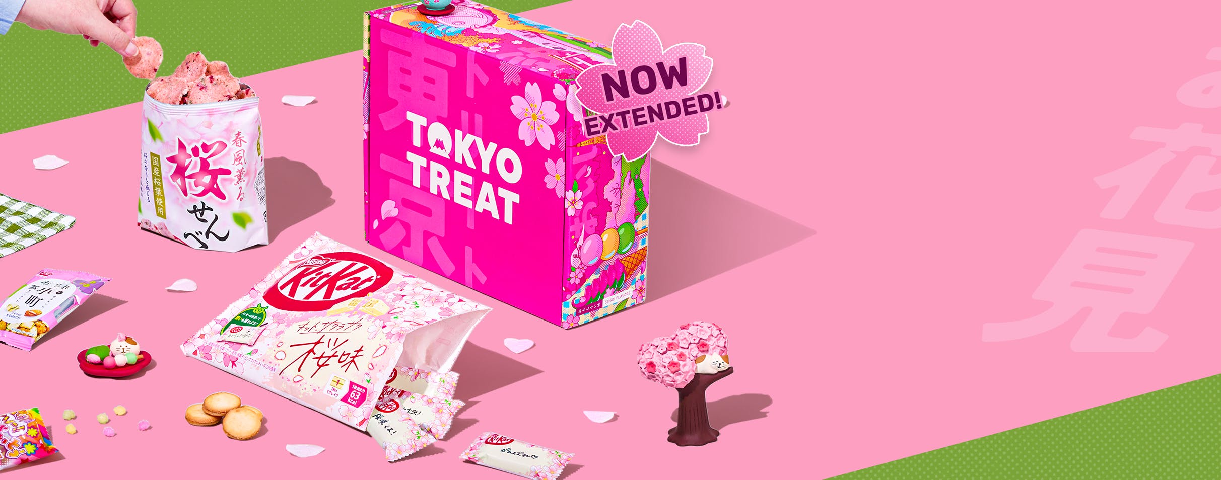 Pink TokyoTreat box with sakura-themed snacks on pink background