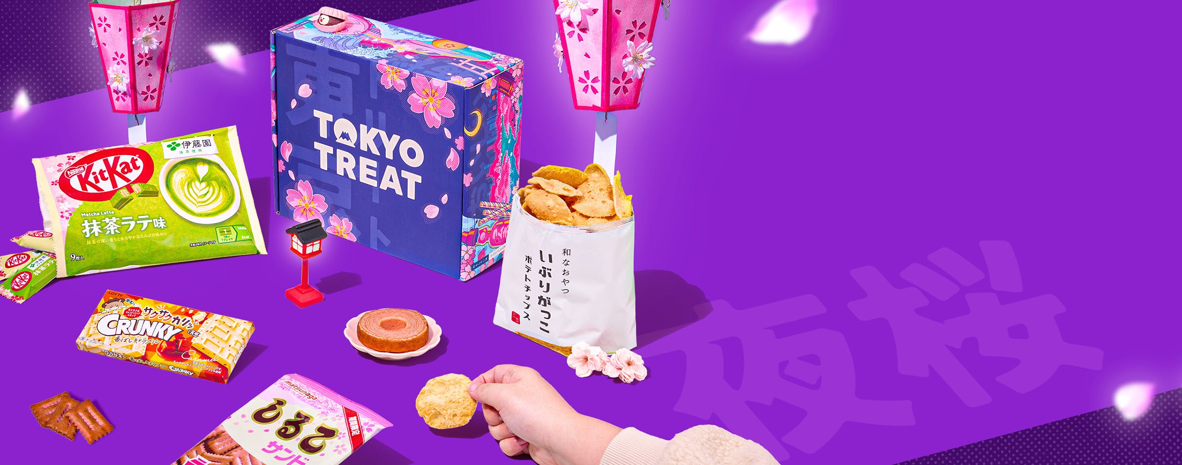 Purple TokyoTreat box with sakura snacks around it and lanterns in the background