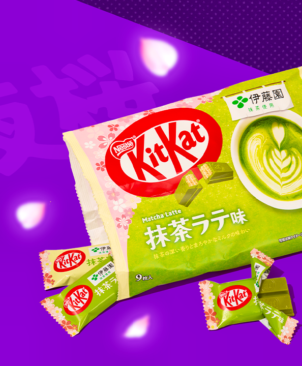 Matcha Latte KitKats on purple background with sakura petals