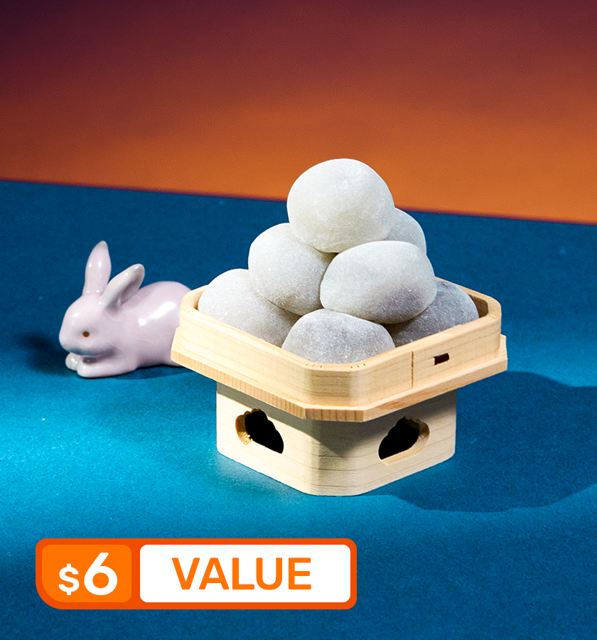 Mochi and a white rabbit on a blue background
